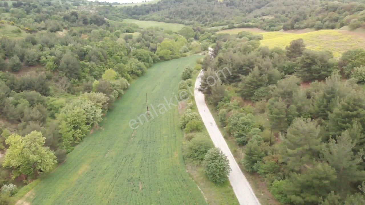 Çanakkale Merkez Musaköyde 1450 M² Tapulu Satılık Parsel Hissesi - Görsel 3