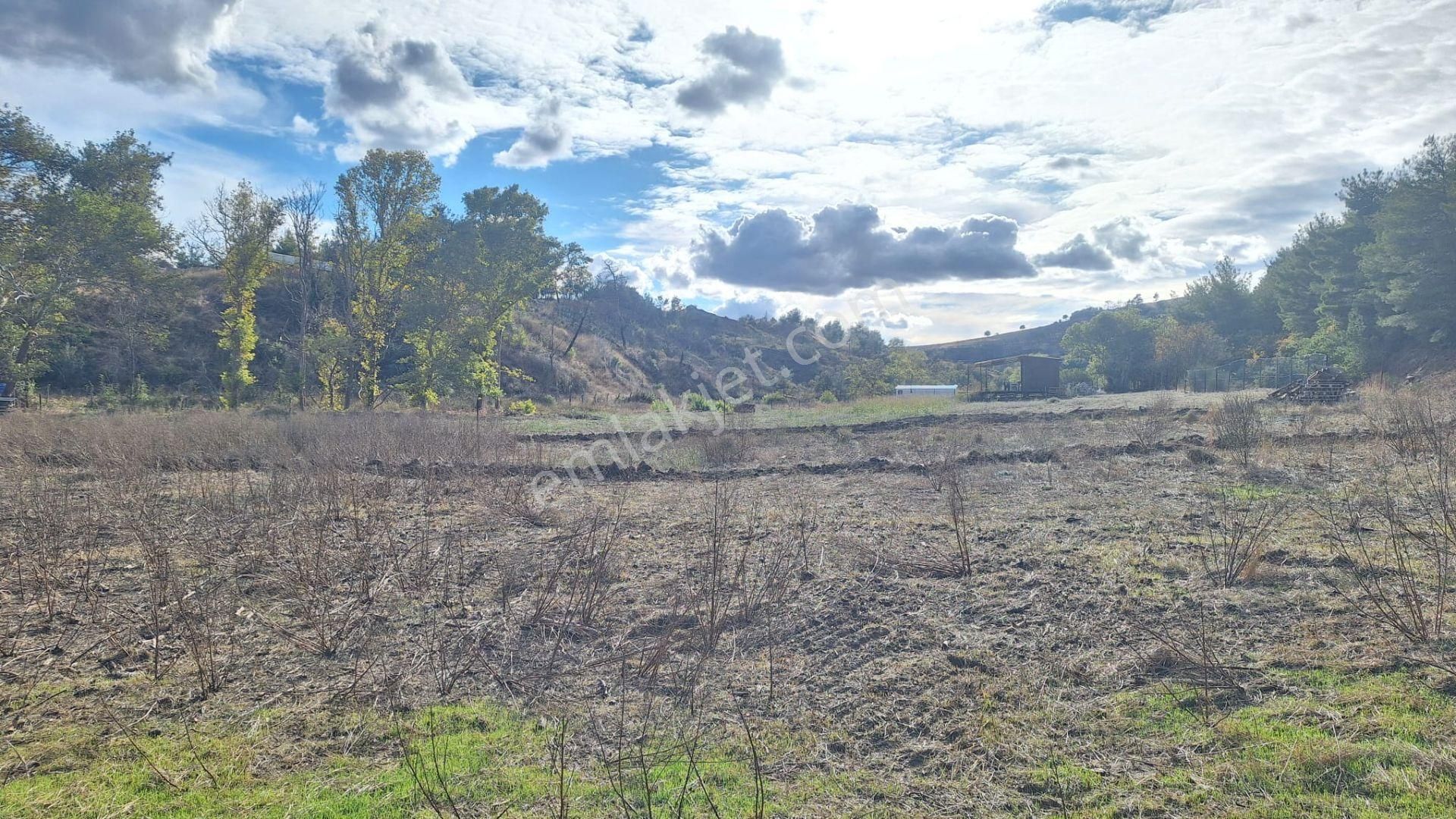 Çanakkale Merkez Musaköyde 1450 M² Tapulu Satılık Parsel Hissesi - Görsel 9
