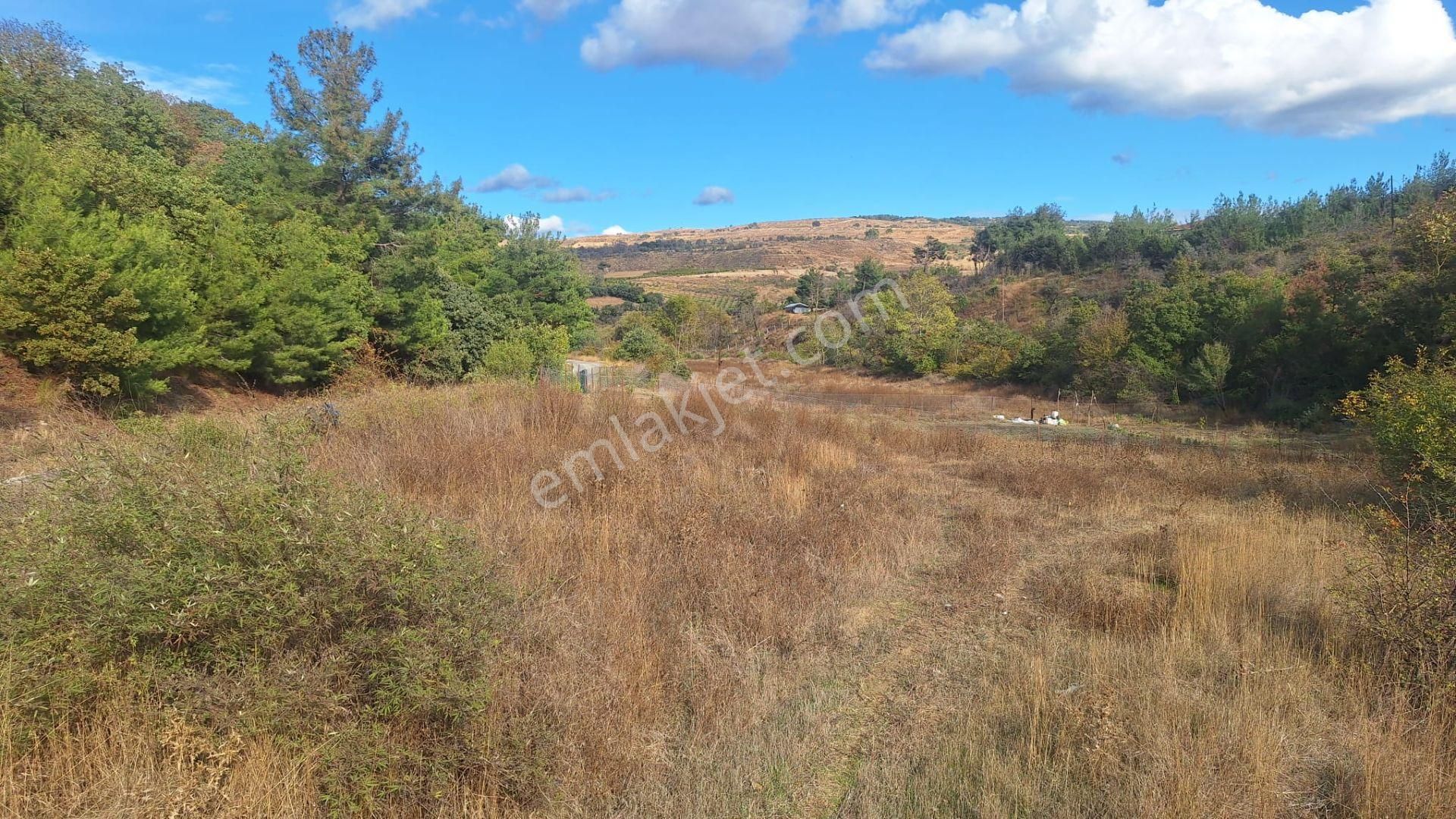 Çanakkale Merkez Musaköyde 1450 M² Tapulu Satılık Parsel Hissesi - Görsel 7