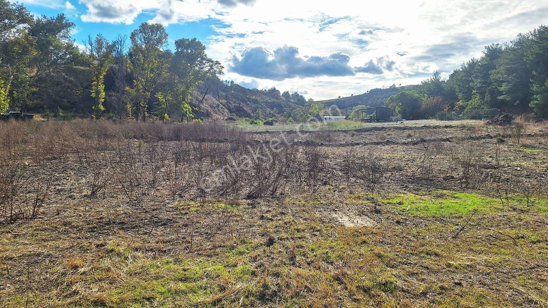 Çanakkale Merkez Musaköyde 1450 M² Tapulu Satılık Parsel Hissesi