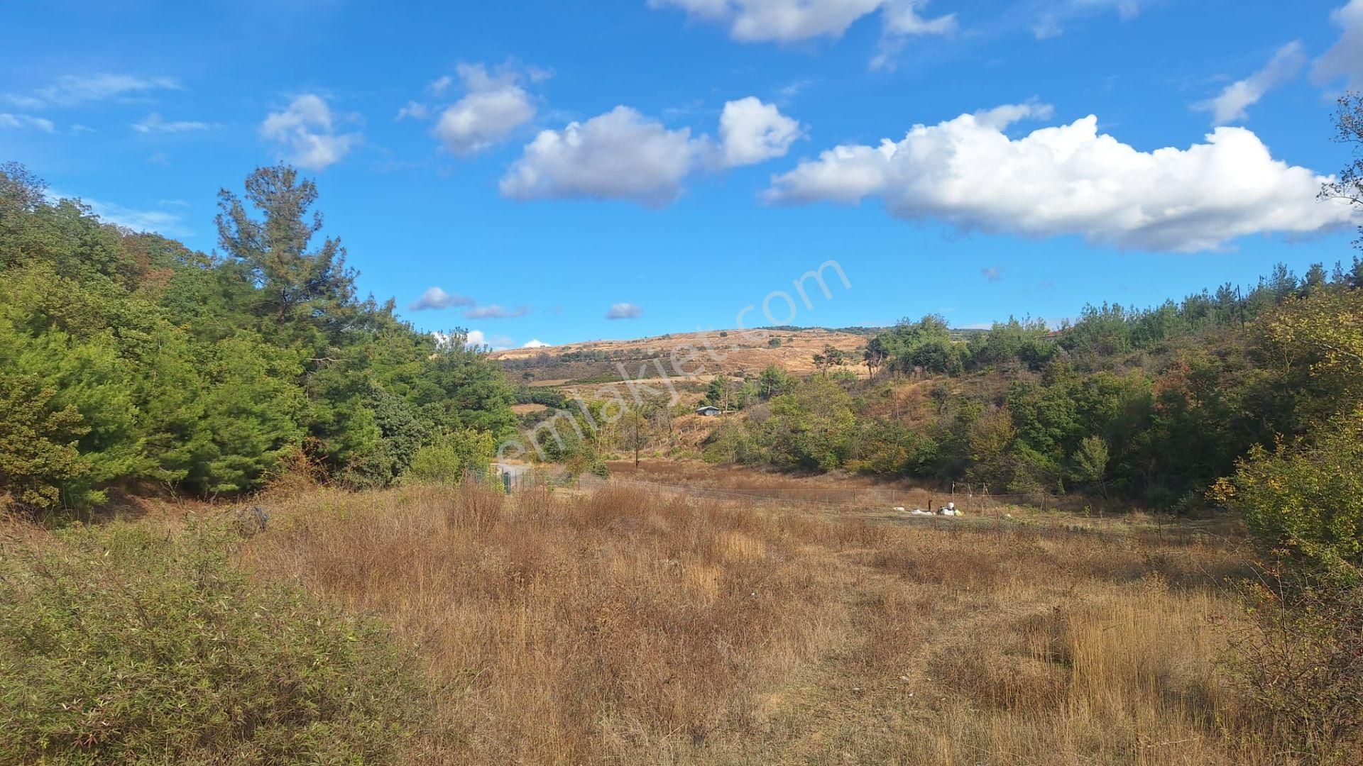 Çanakkale Merkez Musaköyde 1450 M² Tapulu Satılık Parsel Hissesi - Görsel 5