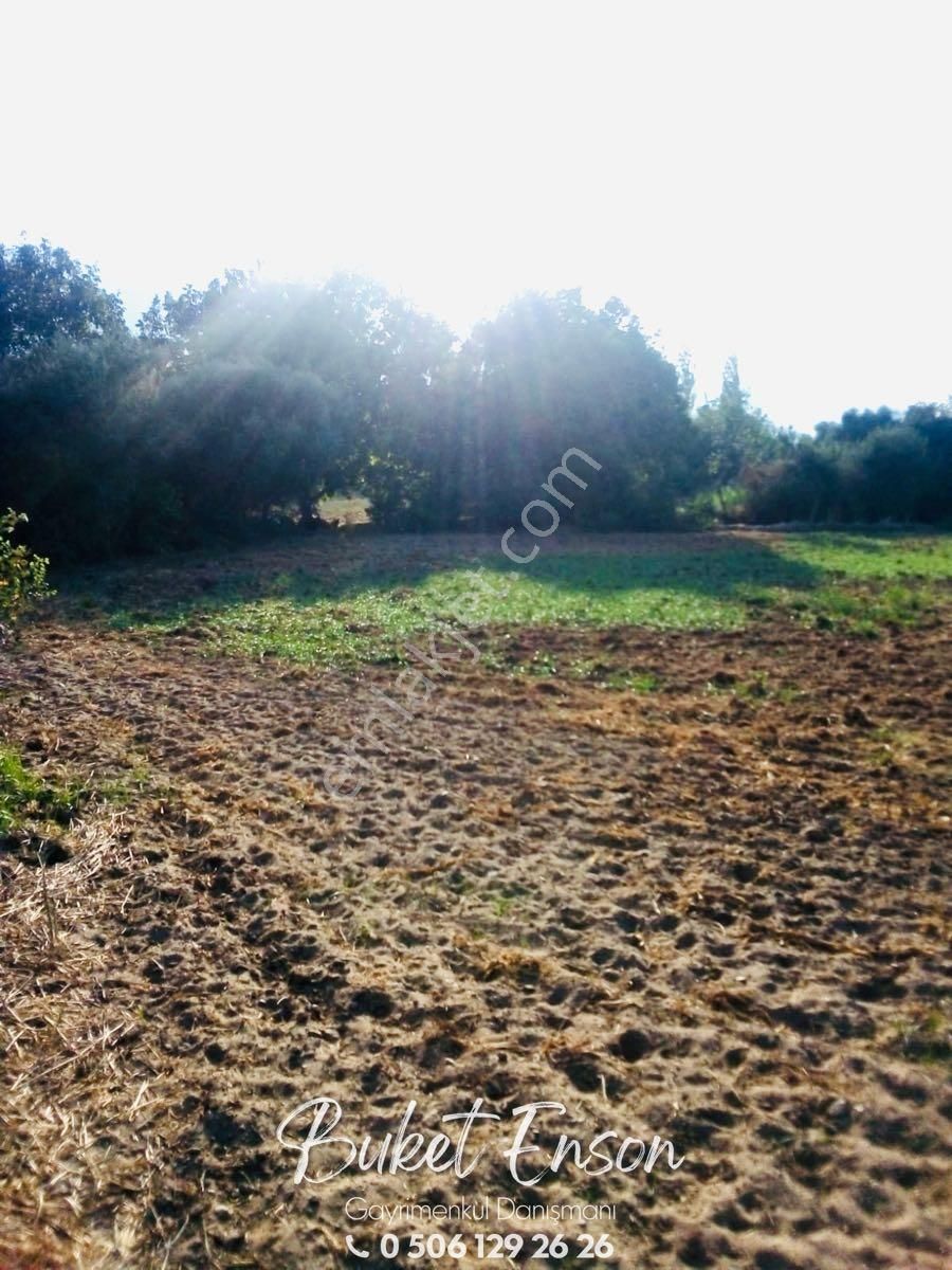 Muğla Milas Etrenli Mahallesi’nde Yatırıma Uygun 1.805 M² Tarla - Görsel 3
