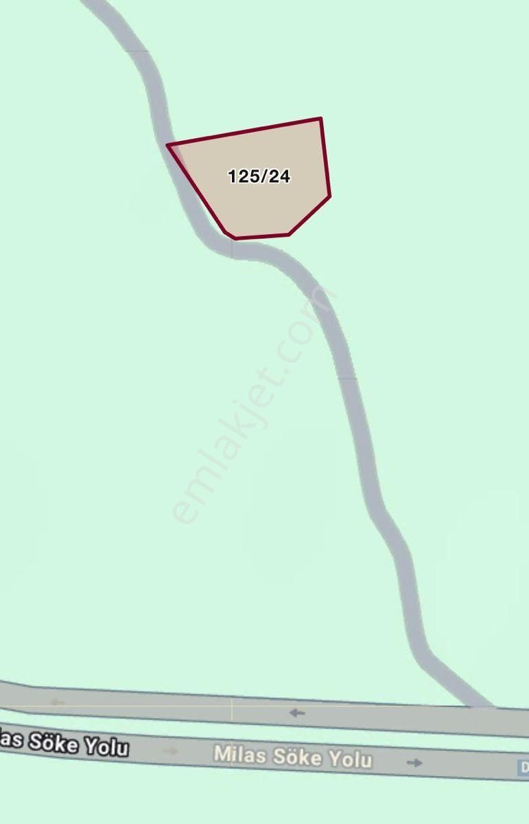 Muğla Milas Etrenli Mahallesi’nde Yatırıma Uygun 1.805 M² Tarla - Görsel 5