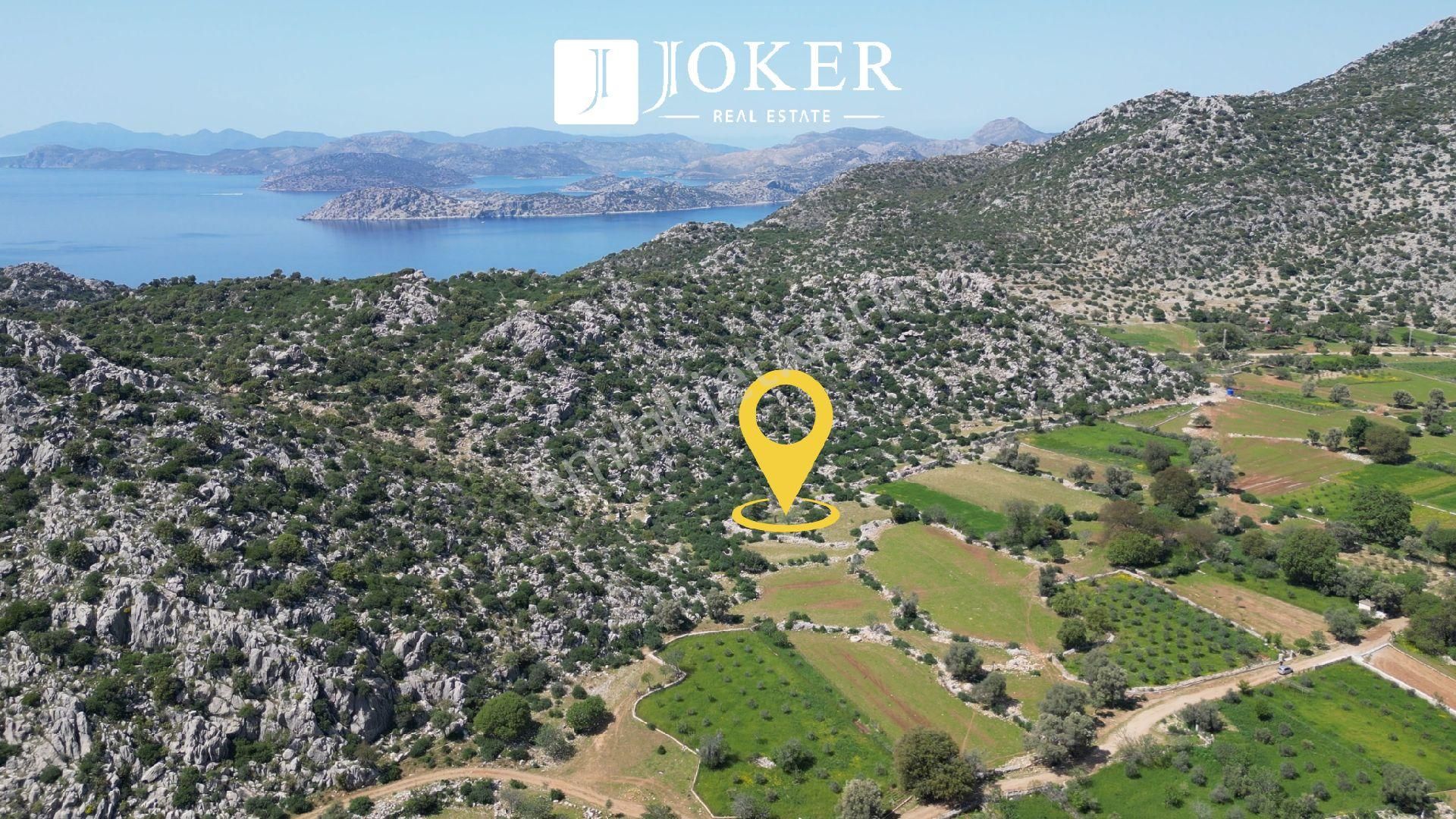 Joker: Marmaris Taşlıca Resmi Yol Cephe Yatırıma Uygun Tarla - Görsel 7