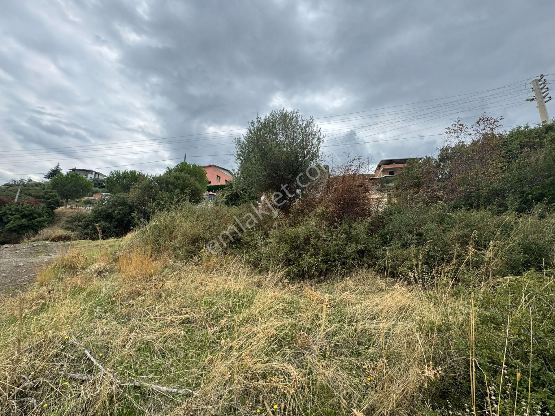 Menemen Ayvacık'da Manzaralı Satılık Arsa - Görsel 16
