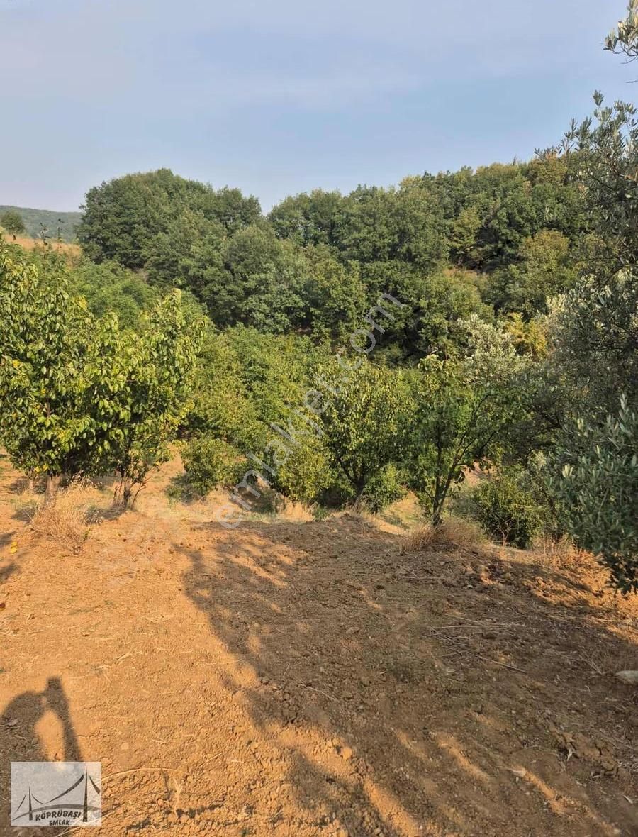 Köprübaşı Emlak'tan Karaahmetli'de Satılık Arazi - Görsel 9