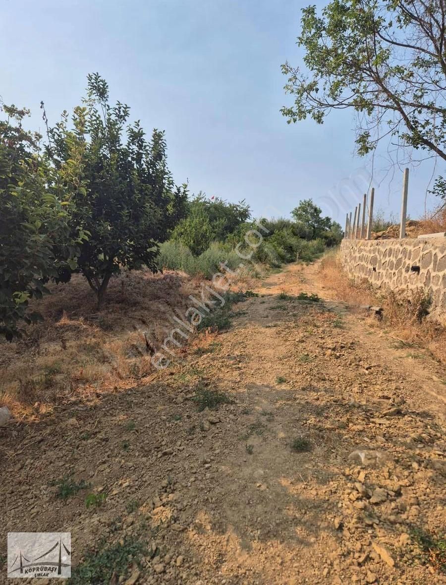 Köprübaşı Emlak'tan Karaahmetli'de Satılık Arazi - Görsel 4