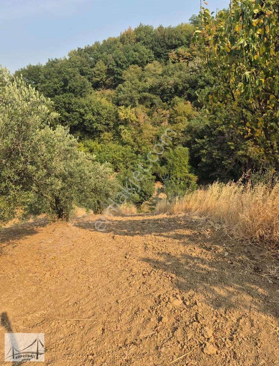 Köprübaşı Emlak'tan Karaahmetli'de Satılık Arazi - Görsel 15