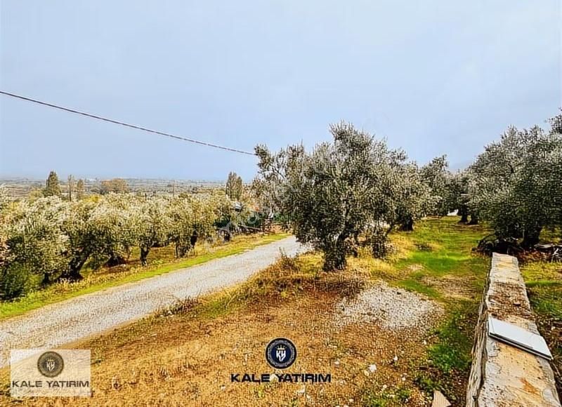 Kaleden Gemiçte Göl Manzaralı 3606m Bungalov Ev Yol Elektrik Var - Görsel 4