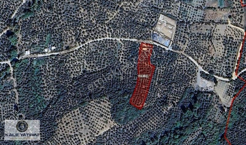 Kaleden Gemiçte Göl Manzaralı 3606m Bungalov Ev Yol Elektrik Var - Görsel 10