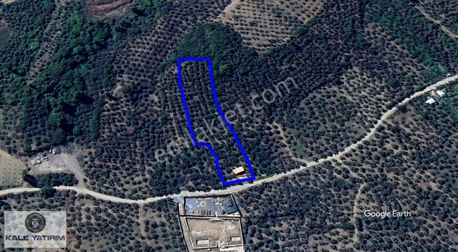 Kaleden Gemiçte Göl Manzaralı 3606m Bungalov Ev Yol Elektrik Var - Görsel 3