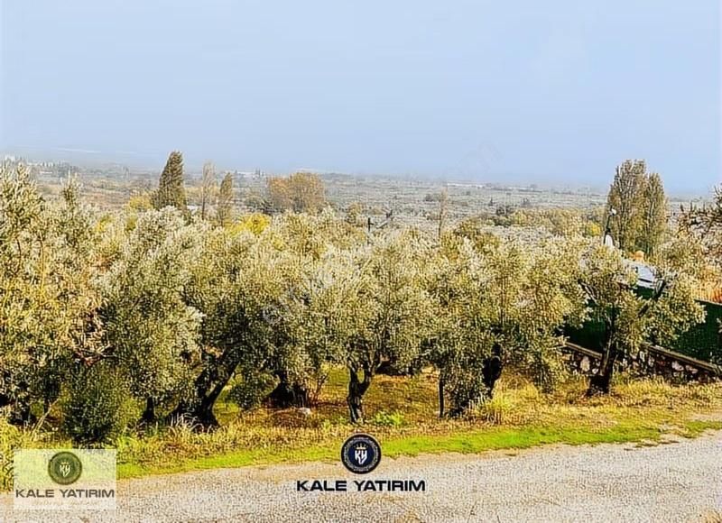 Kaleden Gemiçte Göl Manzaralı 3606m Bungalov Ev Yol Elektrik Var - Görsel 5