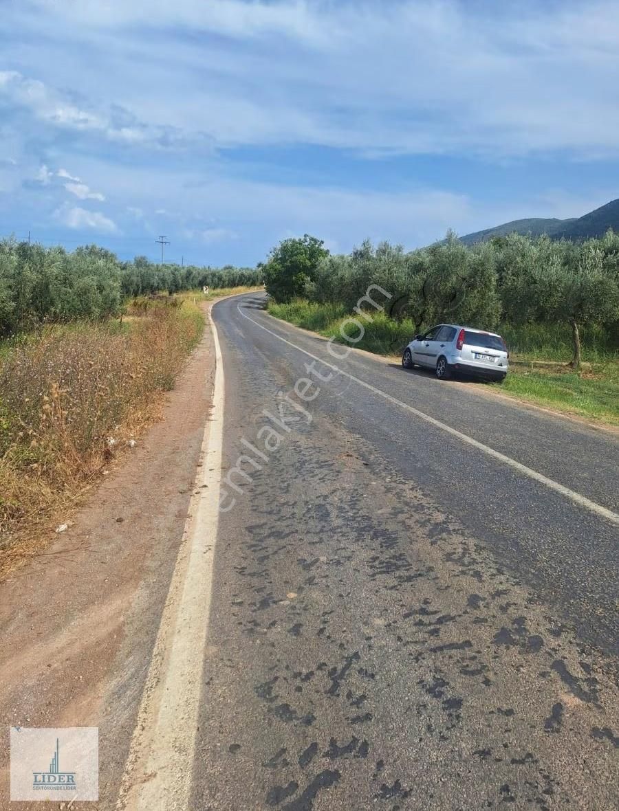 Bursa Orhangazi Heceler Mah. 229m2 Zeytinlik - Görsel 4