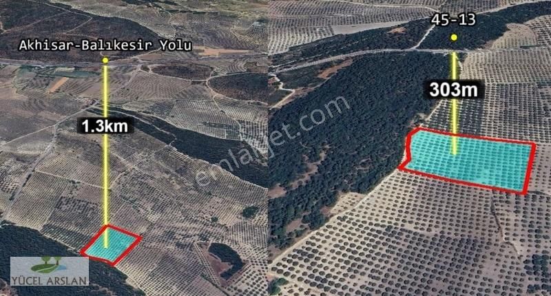 Manisa Kırkağaç Satılık 12.600 M2 300 Ağaçlı Zeytinlik Sulutarım - Görsel 2