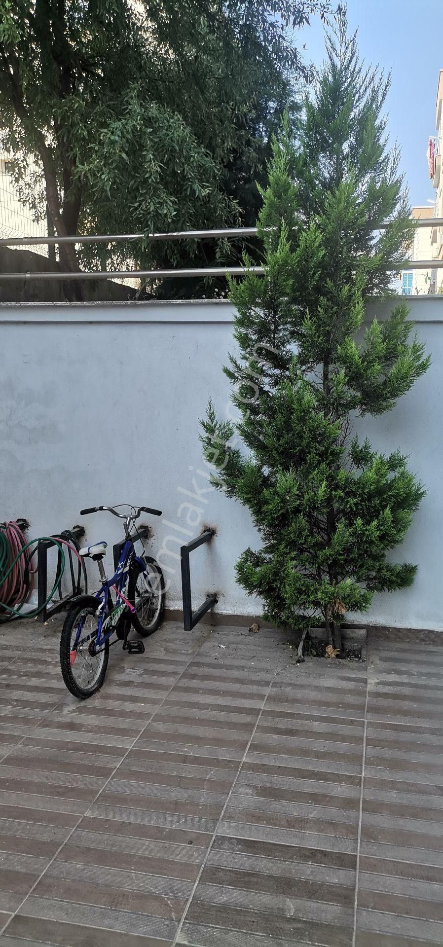 Acil !!! Acil Memurdan!!! - Görsel 16