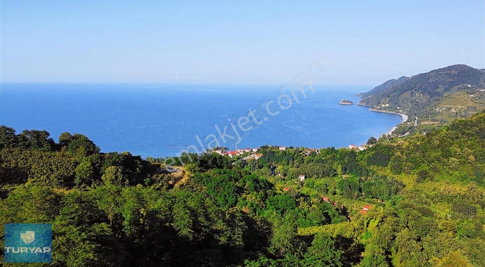 Çaytepede Satılık 11.066 M2. Fırsat Verimli Fındık Bahçesi