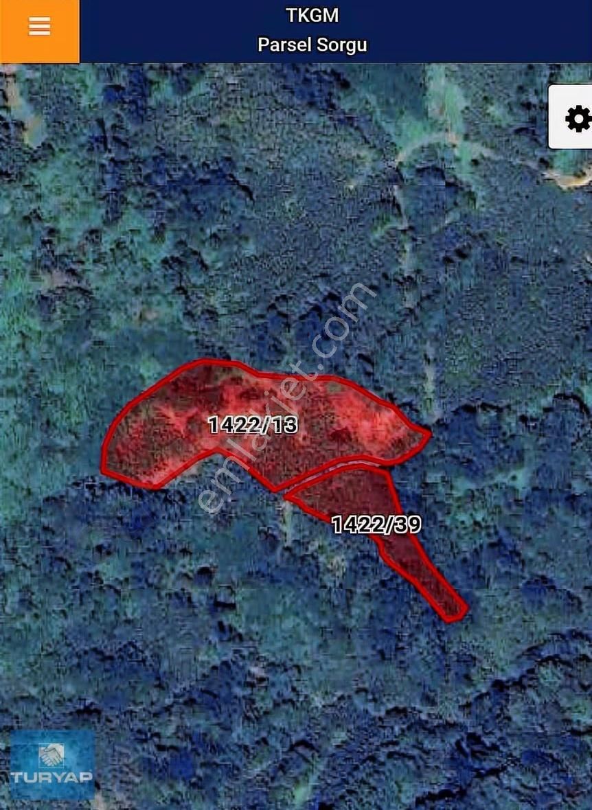Çaytepede Satılık 11.066 M2. Fırsat Verimli Fındık Bahçesi - Görsel 5