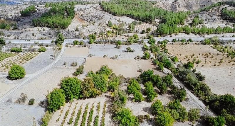 Toprak Dünyasından Çal Şapçılarda Mahalleye Yakın Üzüm Bağları - Görsel 13
