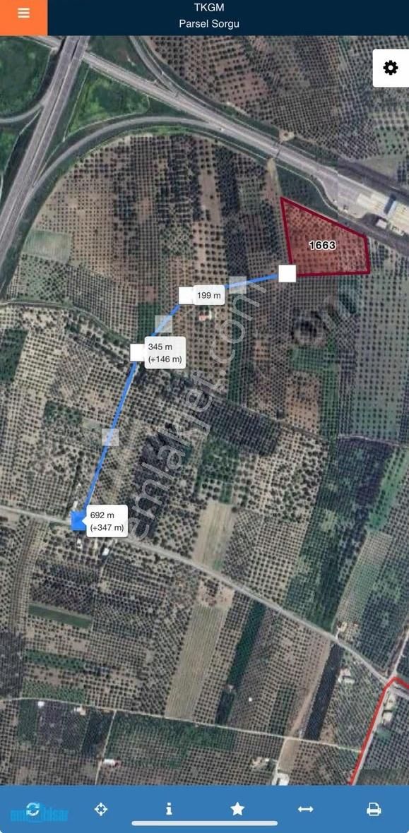 Akhisar Bünyanosmaniye'de Otoban Yanı Satılık 8185 M2 Zeytinlik