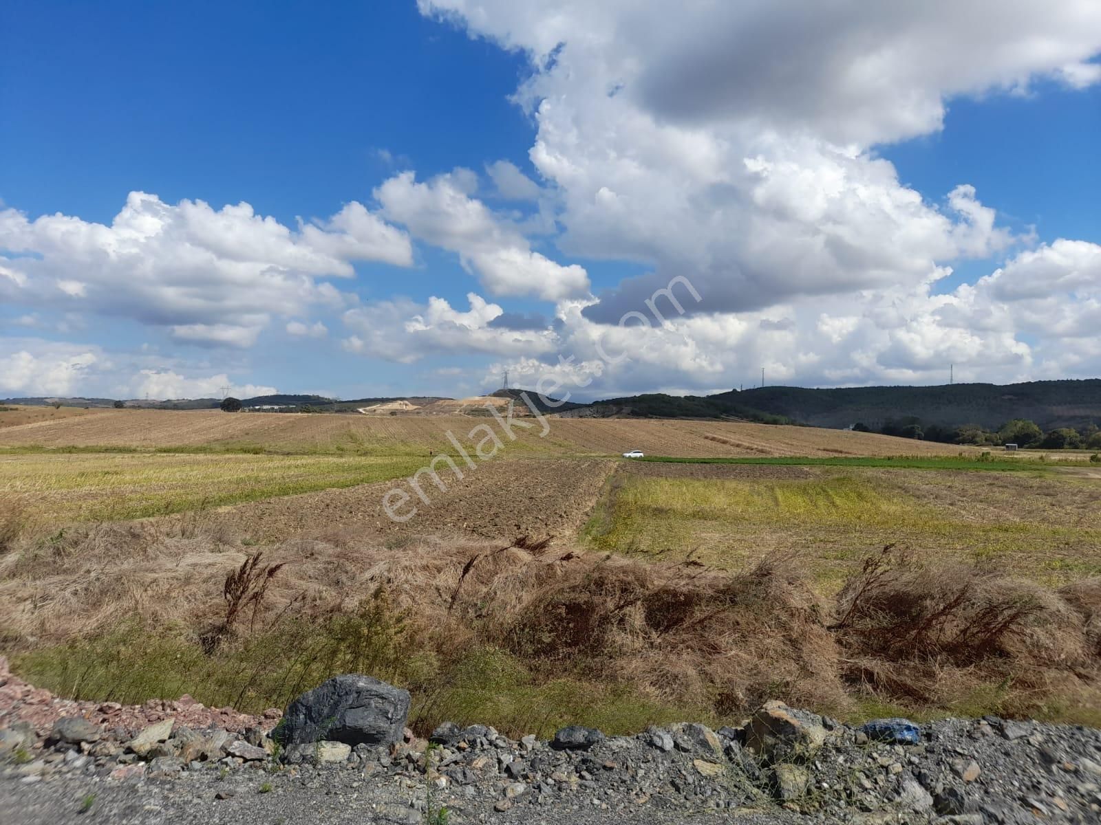 Rt Safir' Den Mudanya/çayönü' Nde Teknosaba Komşu Fırsat Arazi - Görsel 16