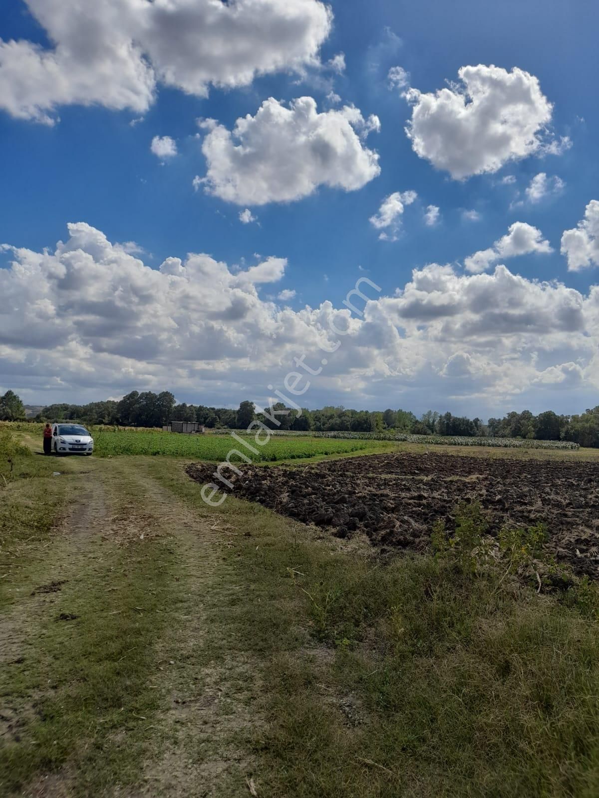 Rt Safir' Den Mudanya/çayönü' Nde Teknosaba Komşu Fırsat Arazi - Görsel 10