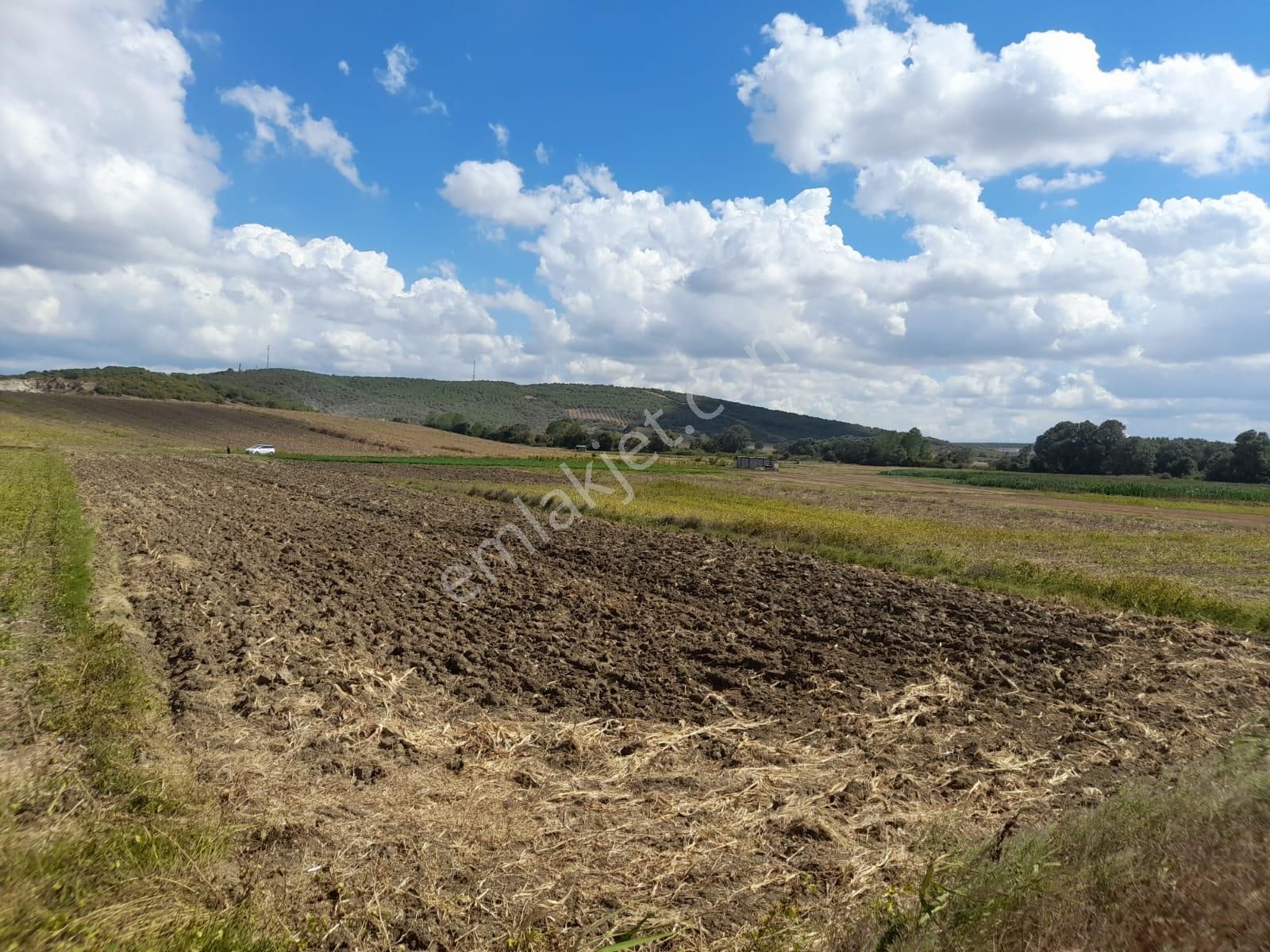 Rt Safir' Den Mudanya/çayönü' Nde Teknosaba Komşu Fırsat Arazi - Görsel 15