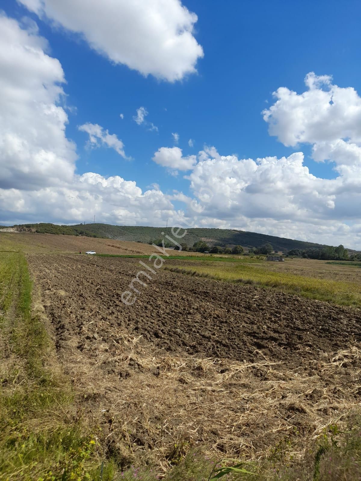 Rt Safir' Den Mudanya/çayönü' Nde Teknosaba Komşu Fırsat Arazi - Görsel 14