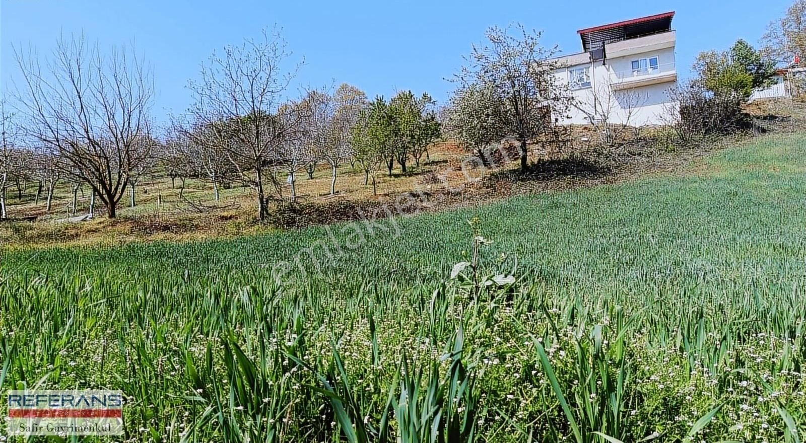 Rt Safir'den İnegöl Halhalcada Köyiçinde 2,5 Dönümsatılık Tarla - Görsel 8