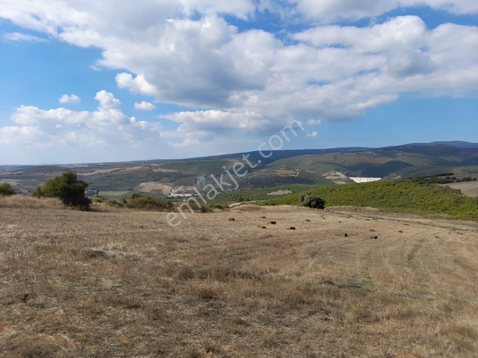 Rt Safir' Den Karacabey/kıranlarda Resmi Yola Cephe Fırsat Arazi - Görsel 19