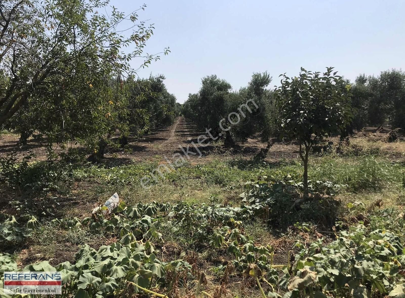Rt Safir'den Karacabey/ Yenikaraağaç'ta Satılık Yatırımlık Tarla - Görsel 19
