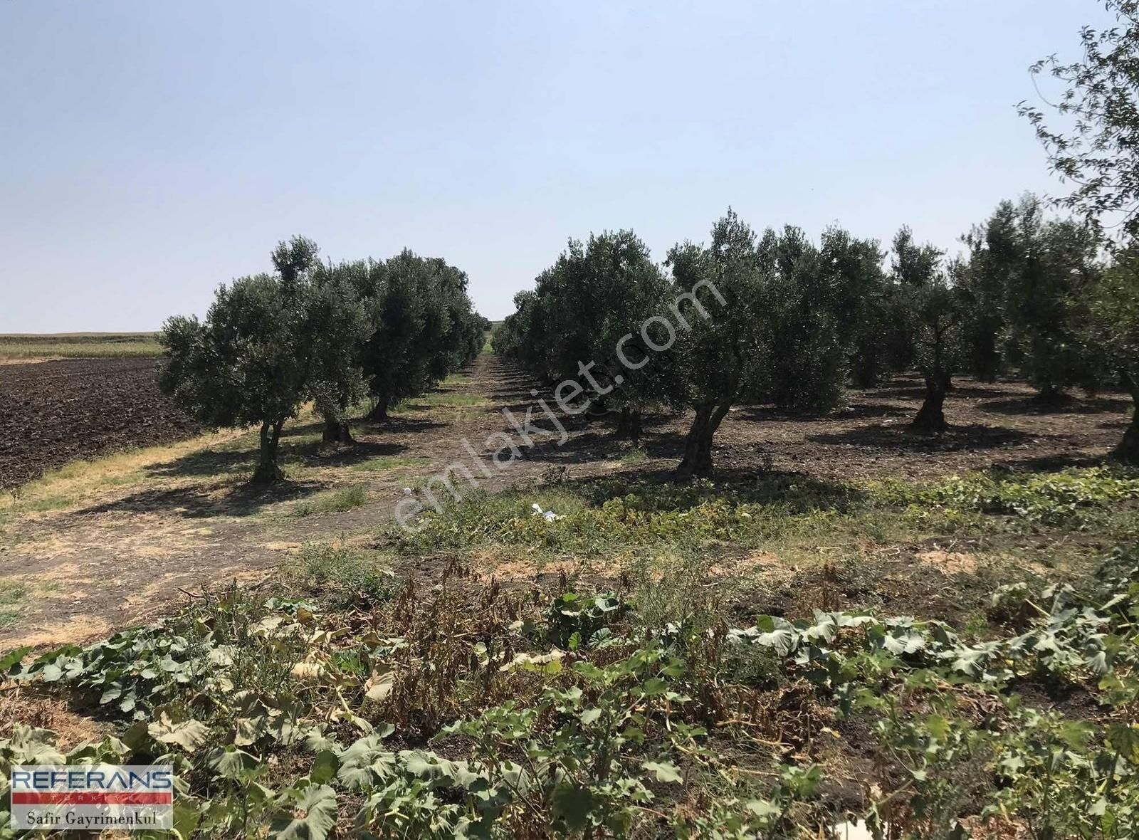 Rt Safir'den Karacabey/ Yenikaraağaç'ta Satılık Yatırımlık Tarla - Görsel 20