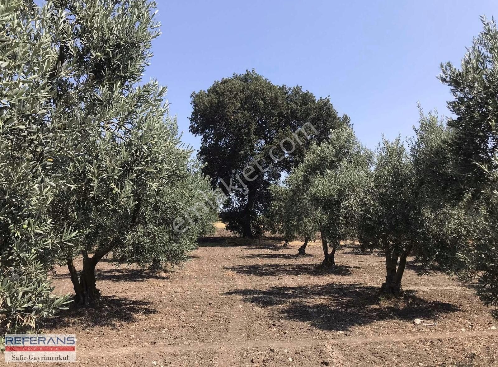 Rt Safir'den Karacabey/ Yenikaraağaç'ta Satılık Yatırımlık Tarla - Görsel 8