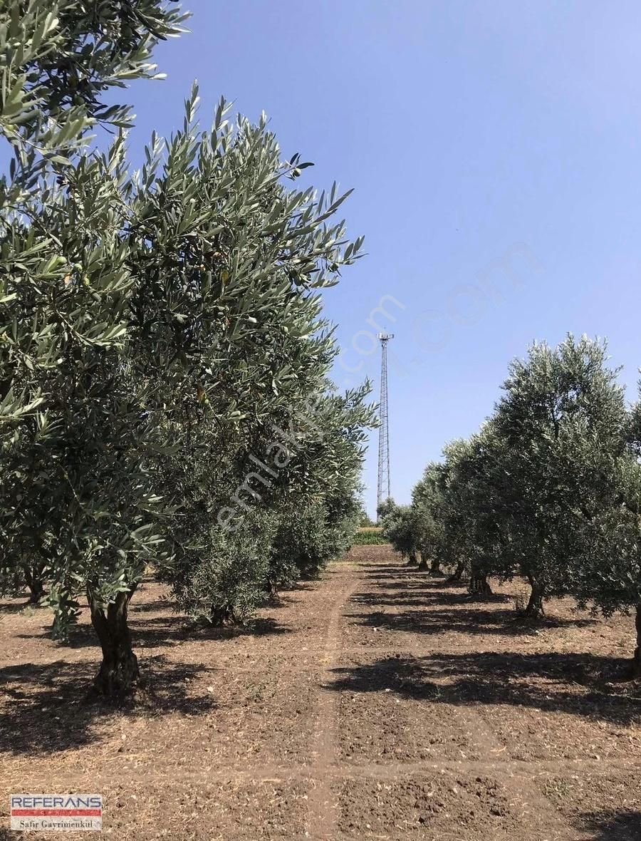 Rt Safir'den Karacabey/ Yenikaraağaç'ta Satılık Yatırımlık Tarla - Görsel 18