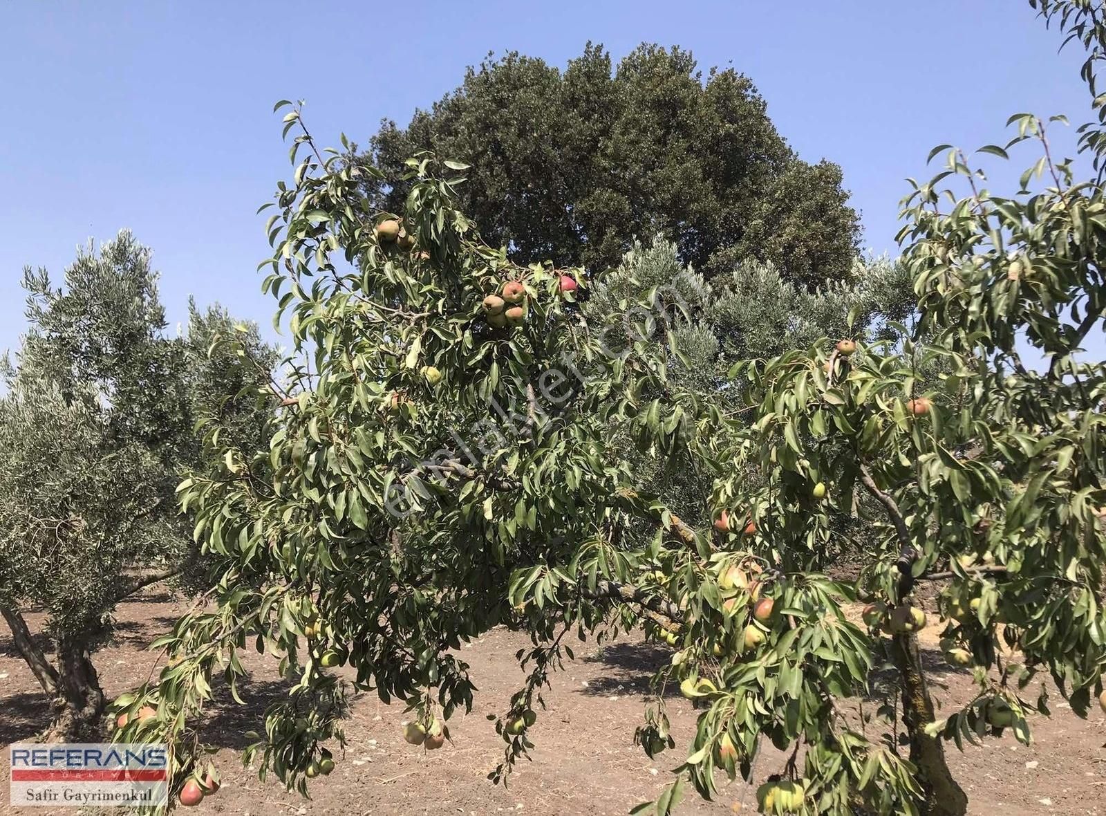 Rt Safir'den Karacabey/ Yenikaraağaç'ta Satılık Yatırımlık Tarla - Görsel 16