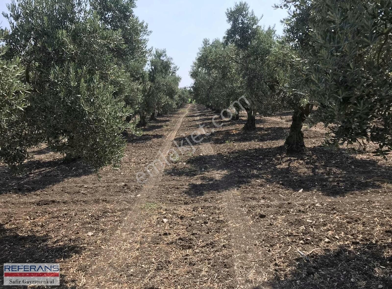 Rt Safir'den Karacabey/ Yenikaraağaç'ta Satılık Yatırımlık Tarla - Görsel 22