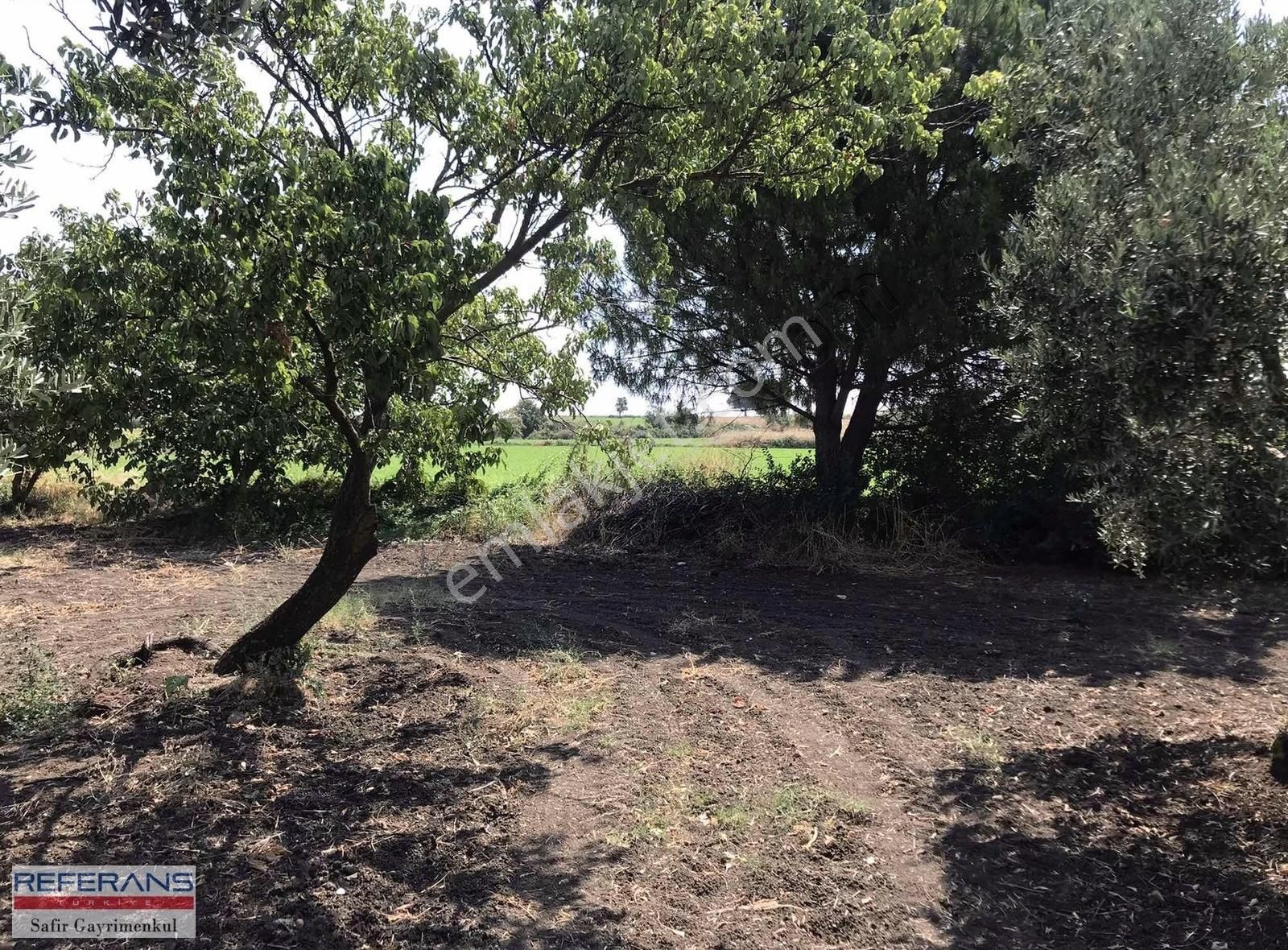 Rt Safir'den Karacabey/ Yenikaraağaç'ta Satılık Yatırımlık Tarla - Görsel 7