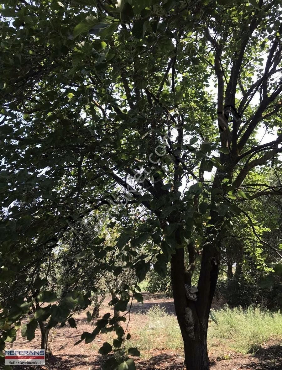 Rt Safir'den Karacabey/ Yenikaraağaç'ta Satılık Yatırımlık Tarla - Görsel 6