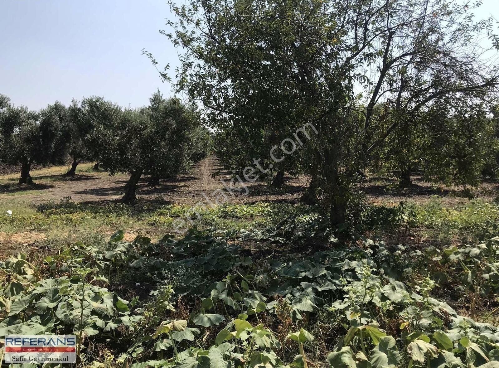 Rt Safir'den Karacabey/ Yenikaraağaç'ta Satılık Yatırımlık Tarla - Görsel 12