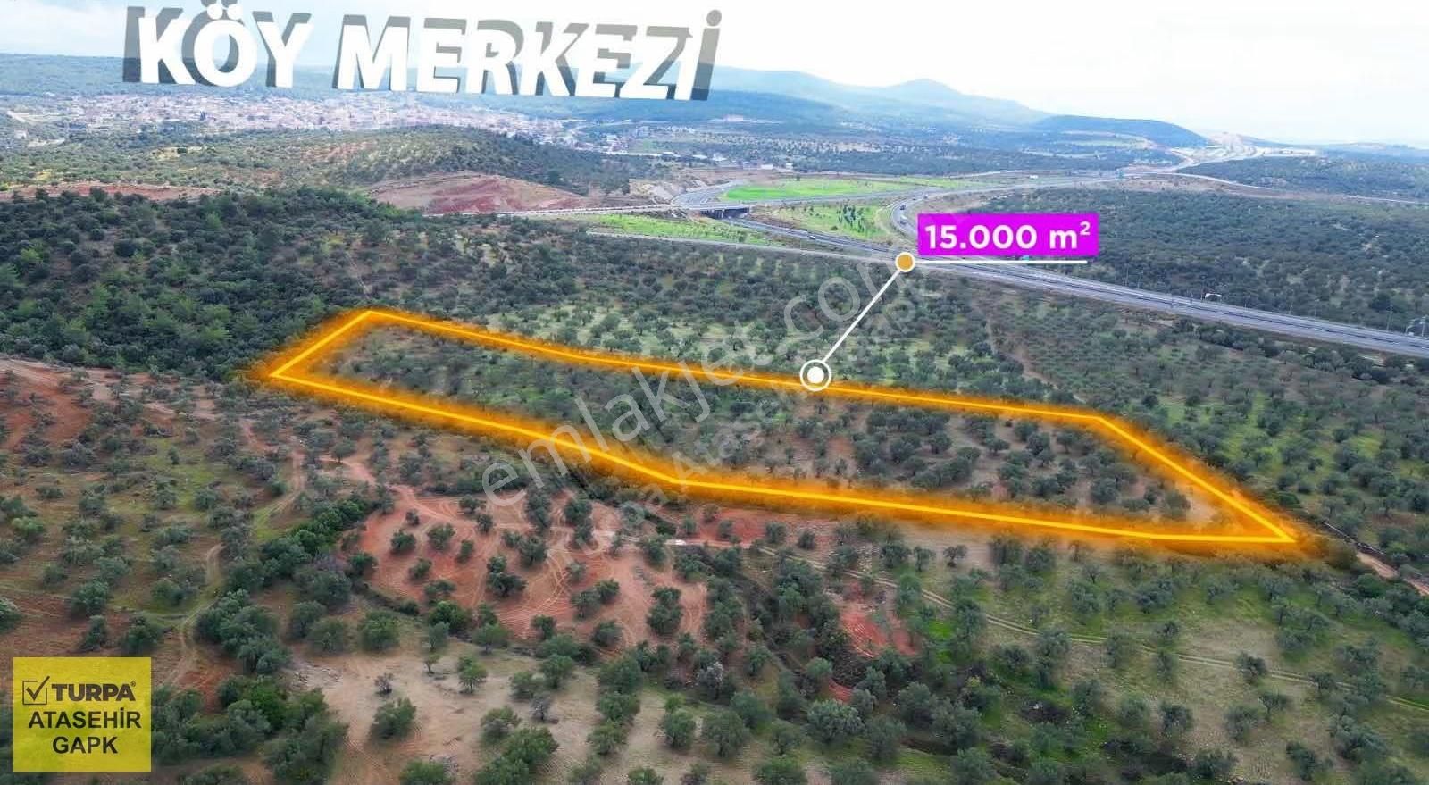 İzmir Bergama'da Satılık Zeytinlik Tarla - Görsel 8