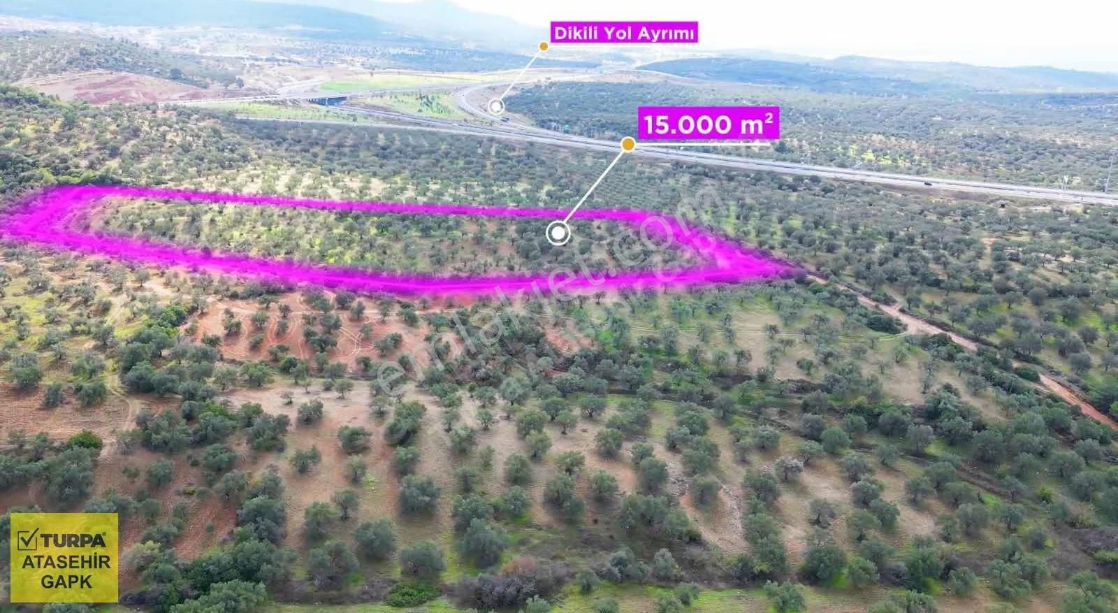 İzmir Bergama'da Satılık Zeytinlik Tarla - Görsel 4