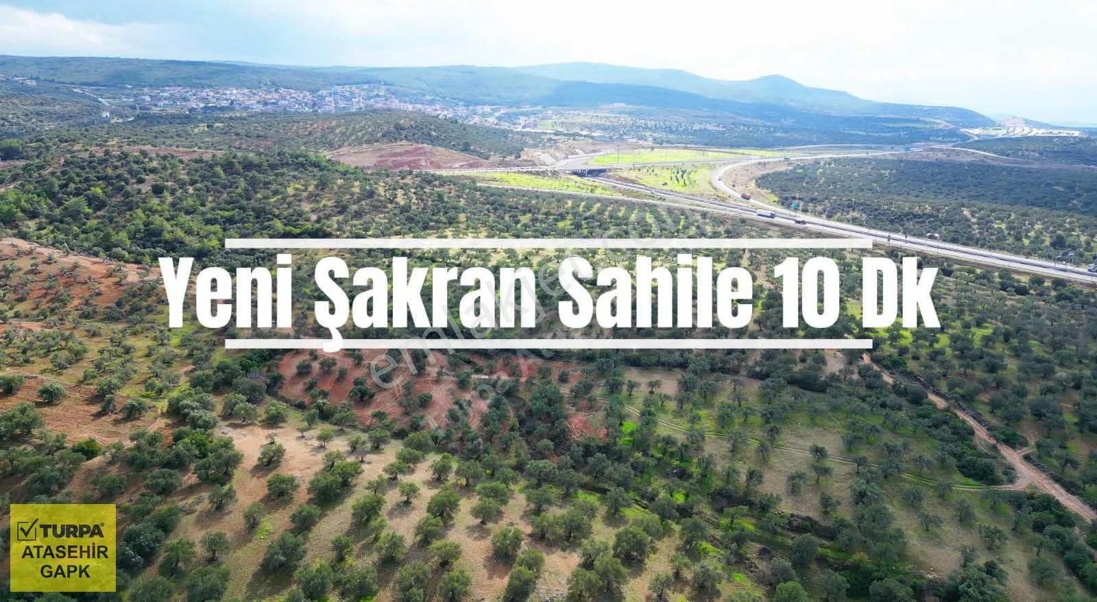 İzmir Bergama'da Satılık Zeytinlik Tarla - Görsel 3