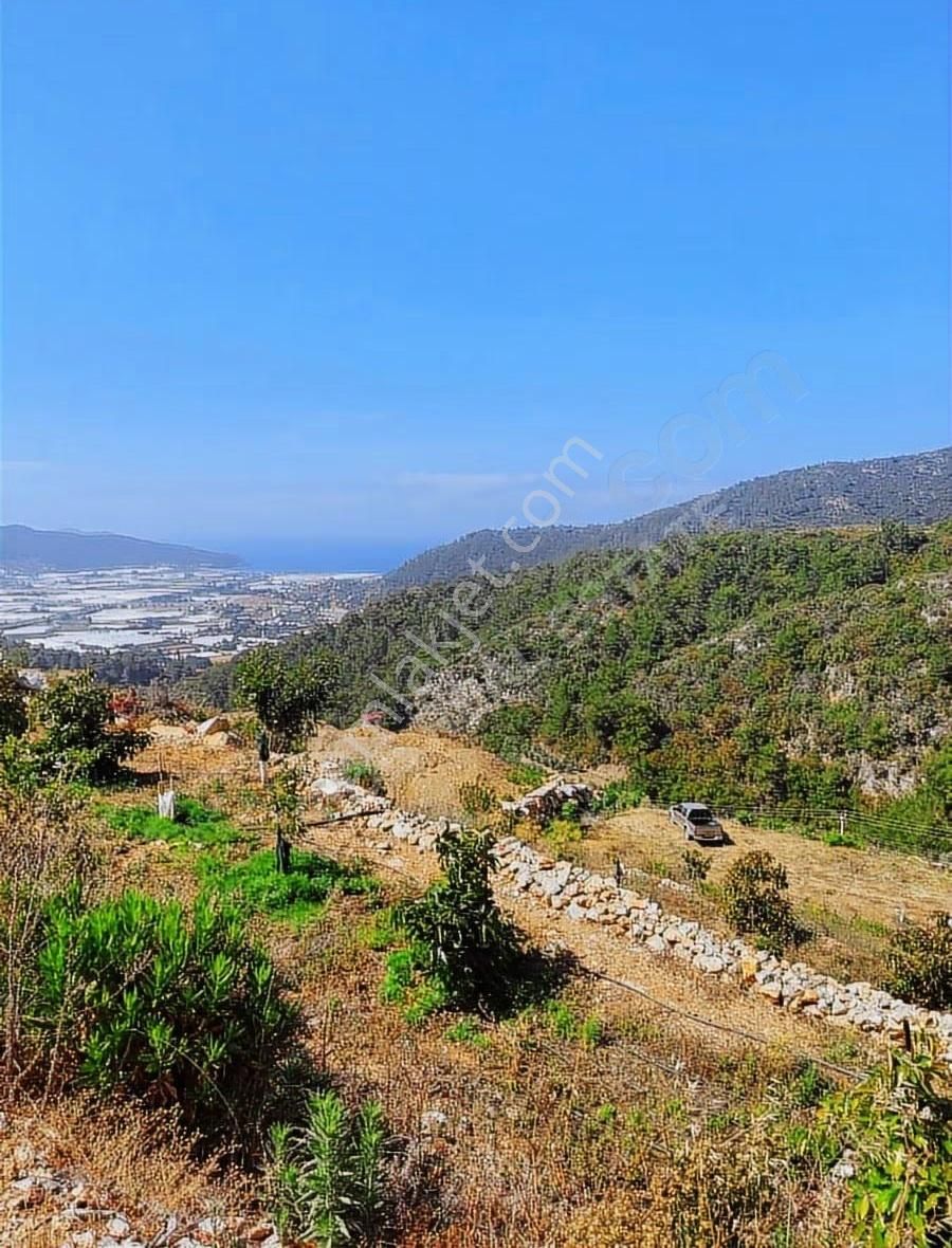 Yatırımlık Bahçe