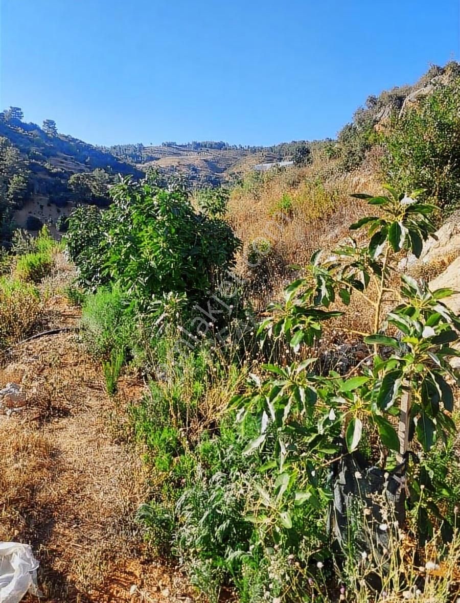 Yatırımlık Bahçe - Görsel 5