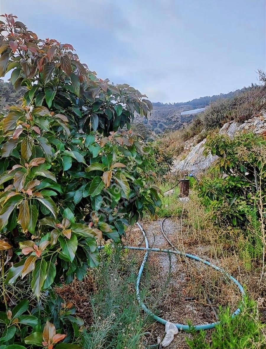 Yatırımlık Bahçe - Görsel 9