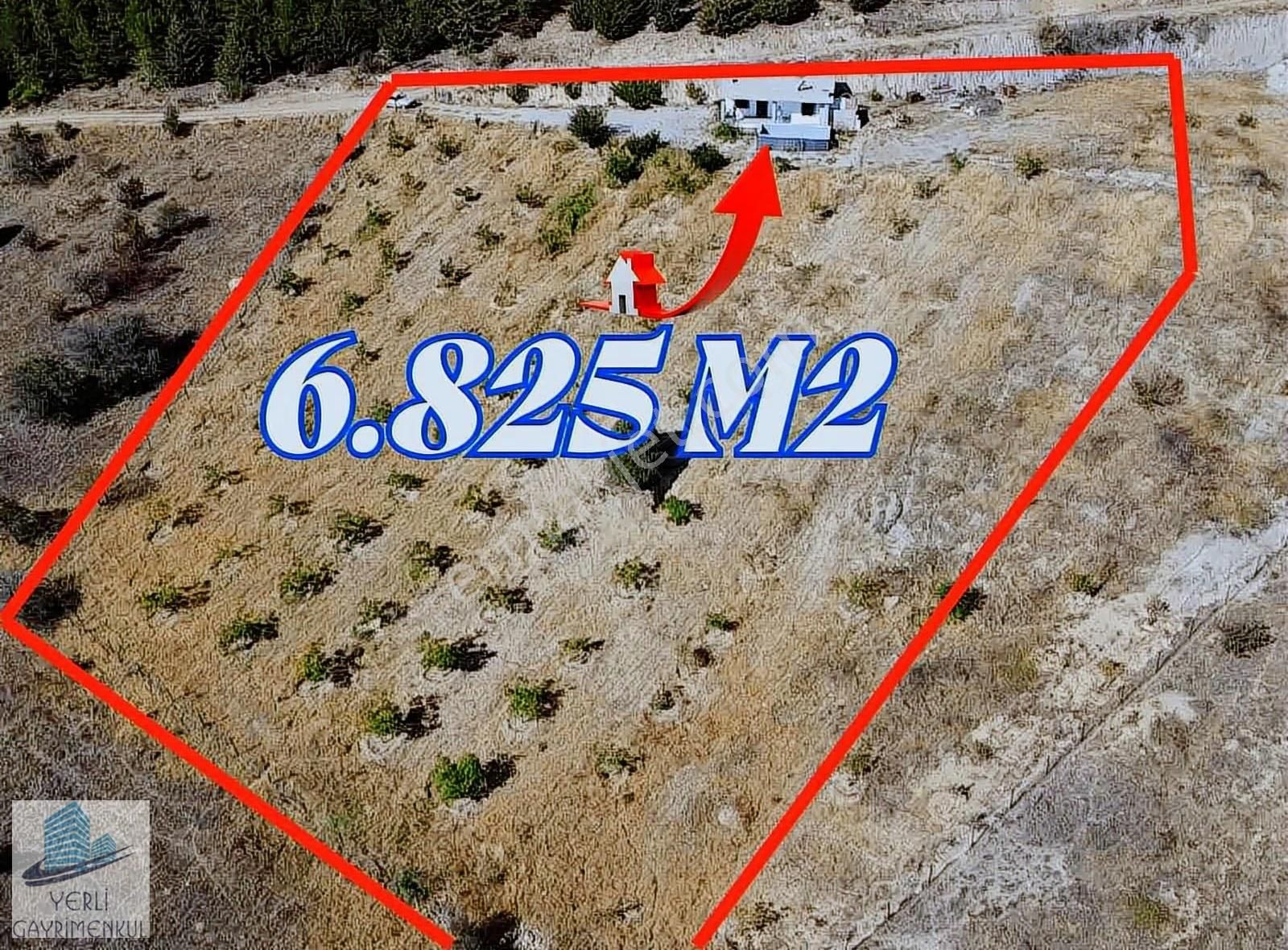 Yerli Gayrimenkul'den Havuzlu Çiftlik Evi - Görsel 10