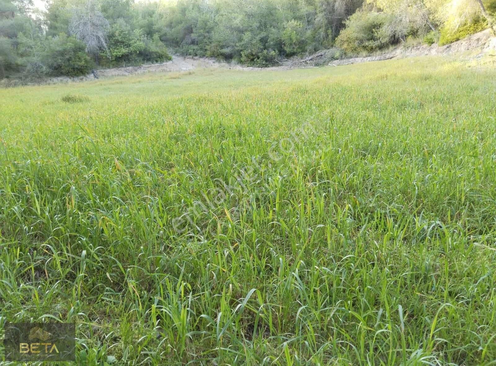 Kırıklı Köyünde Uygun Rakam 2 Dönüm Tarla Vasıflı Tek Tapu Arazi - Görsel 2