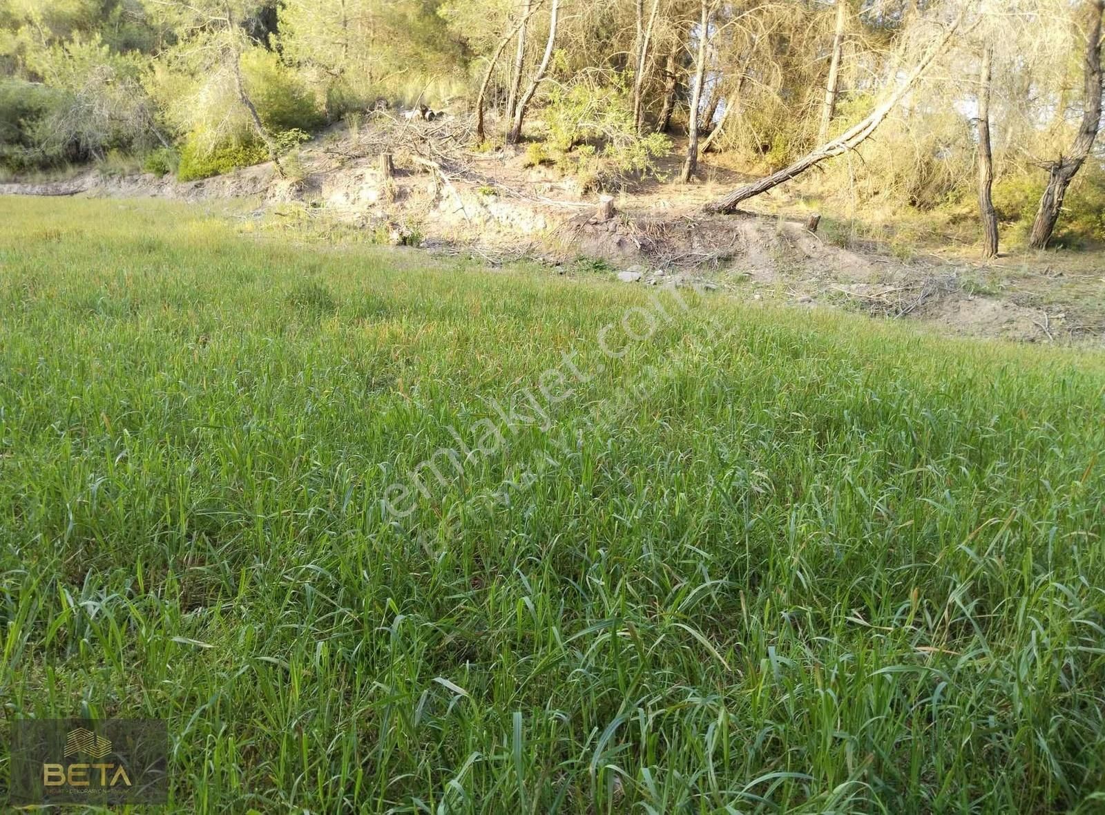 Kırıklı Köyünde Uygun Rakam 2 Dönüm Tarla Vasıflı Tek Tapu Arazi - Görsel 3