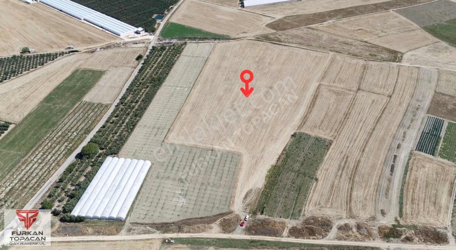 Furkan Topacan Gayrimenkul'den Satılık Tarla
