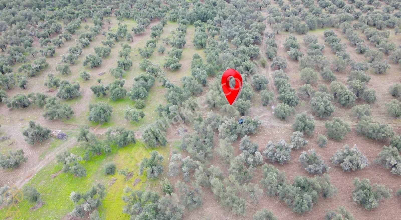 Yeni Devlet Hastanesine 1,5 Km Değer Artışı Kaçınılmaz! - Görsel 6