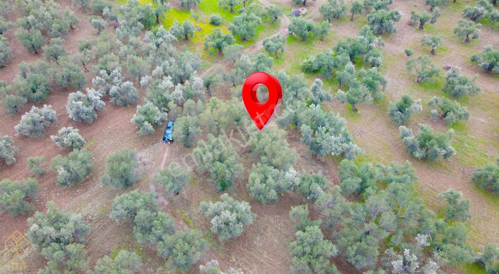 Yeni Devlet Hastanesine 1,5 Km Değer Artışı Kaçınılmaz! - Görsel 5